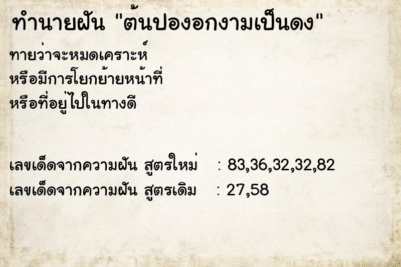 ทำนายฝัน ต้นปองอกงามเป็นดง ทำนายฝัน ต้นปองอกงามเป็นดง