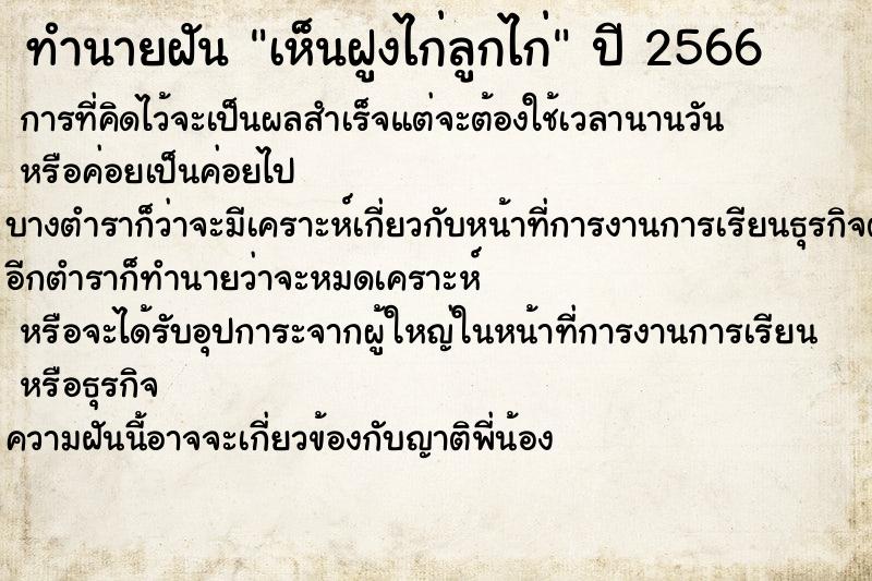 ทำนายฝัน เห็นฝูงไก่ลูกไก่