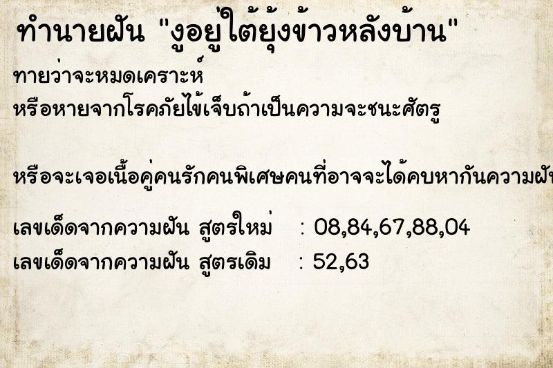 ทำนายฝันงูอยู่ใต้ยุ้งข้าวหลังบ้าน ทำนายฝันทำนายฝันงูอยู่ใต้ยุ้งข้าวหลังบ้าน