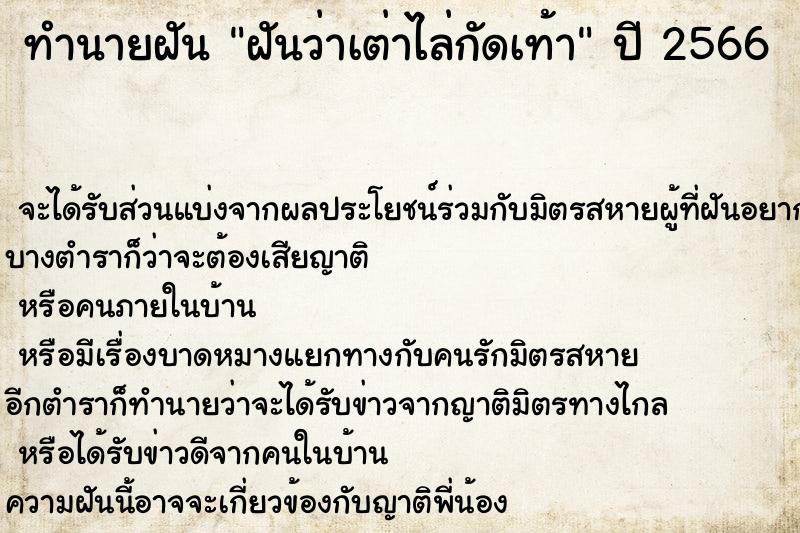 ทำนายฝัน ฝันว่าเต่าไล่กัดเท้า
