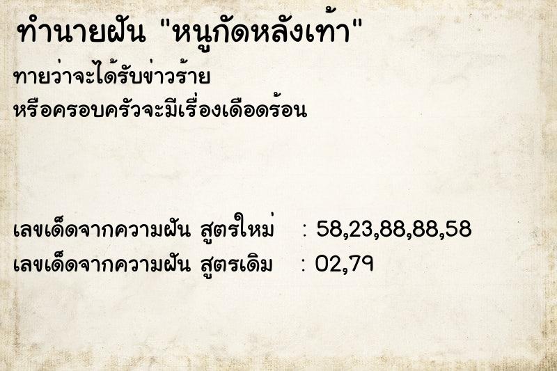 ทำนายฝันทำนายฝันหนูกัดหลังเท้า