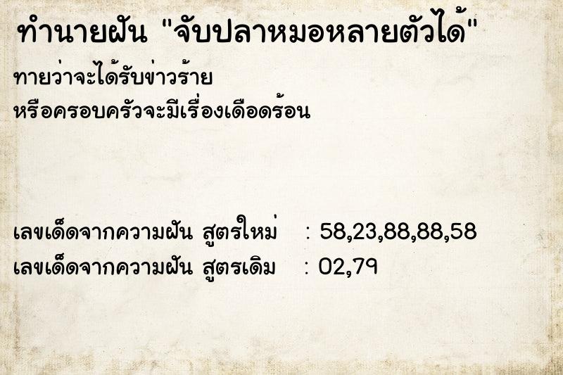 ทำนายฝันจับปลาหมอหลายตัวได้ ทำนายฝันทำนายฝันจับปลาหมอหลายตัวได้
