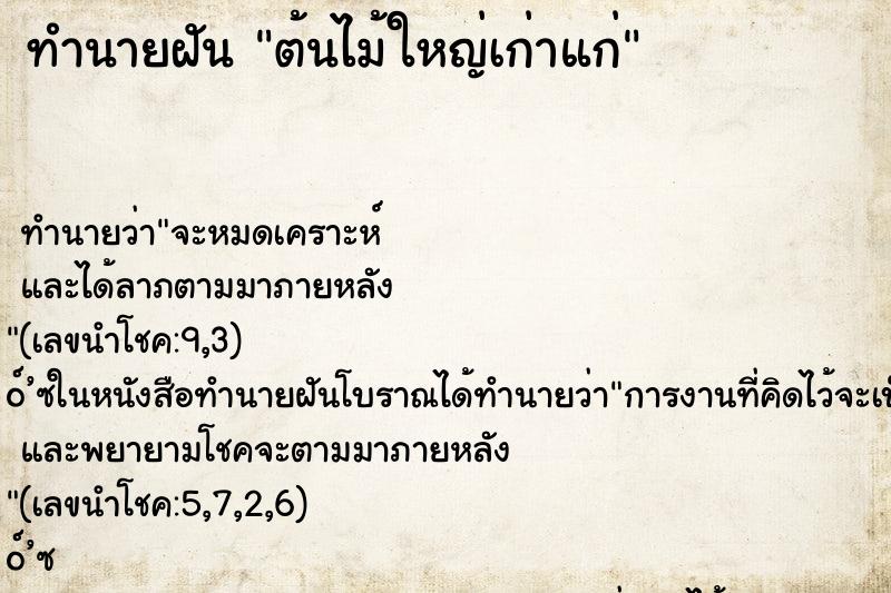 ทำนายฝัน ต้นไม้ใหญ่เก่าแก่