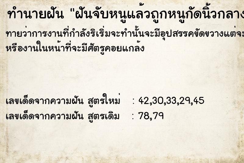 ทำนายฝันฝันจับหนูแล้วถูกหนูกัดนิ้วกลาง ทำนายฝันทำนายฝันฝันจับหนูแล้วถูกหนูกัดนิ้วกลาง