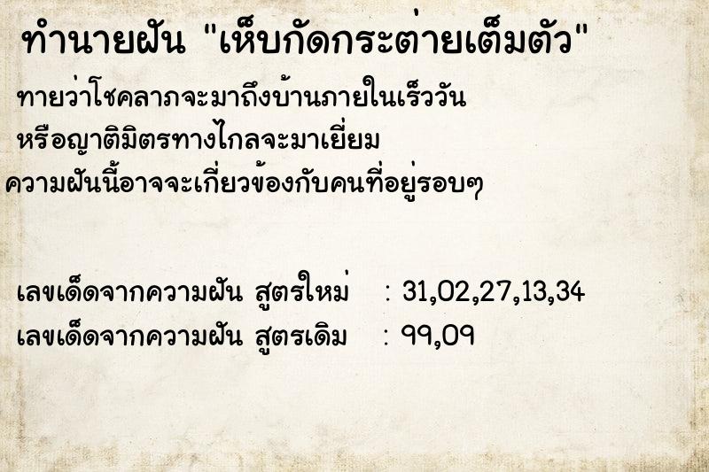 ทำนายฝันทำนายฝันเห็บกัดกระต่ายเต็มตัว
