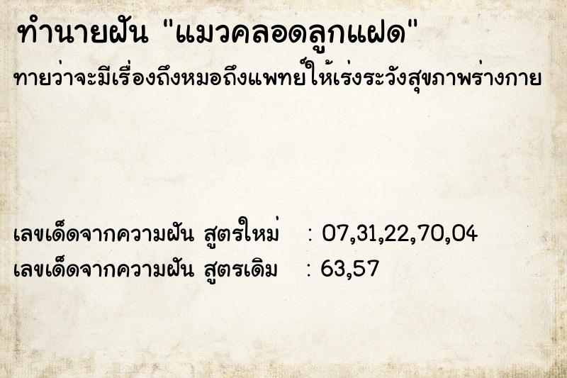 ทำนายฝัน แมวคลอดลูกแฝด ทำนายฝัน แมวคลอดลูกแฝด