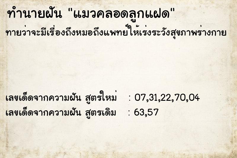 ทำนายฝัน แมวคลอดลูกแฝด ตำราโบราณ แม่นที่สุดในโลก