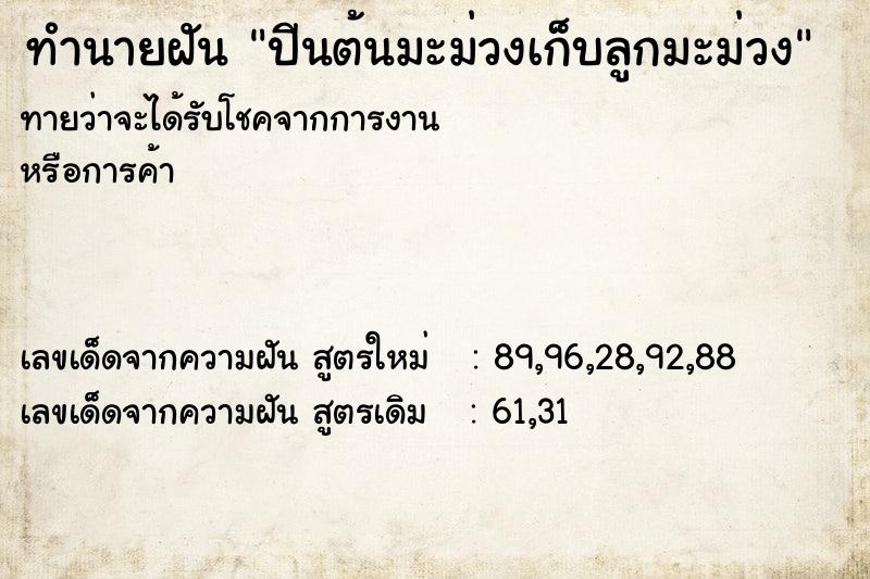 ทำนายฝันปีนต้นมะม่วงเก็บลูกมะม่วง ทำนายฝันทำนายฝันปีนต้นมะม่วงเก็บลูกมะม่วง