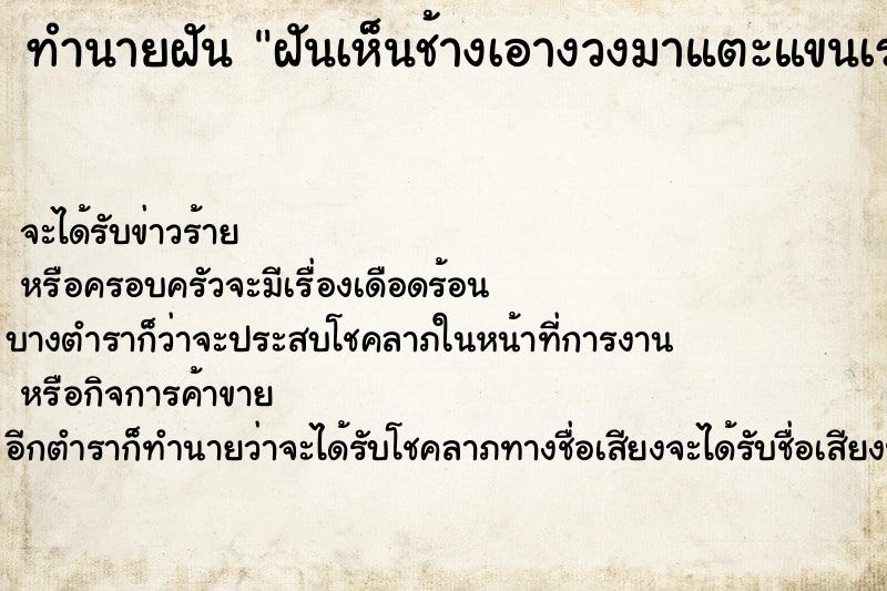 ทำนายฝัน ฝันเห็นช้างเอางวงมาแตะแขนเรา ทำนายฝัน ฝันเห็นช้างเอางวงมาแตะแขนเรา