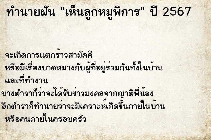 ทำนายฝันเห็นลูกหมูพิการ ทำนายฝันทำนายฝันเห็นลูกหมูพิการ