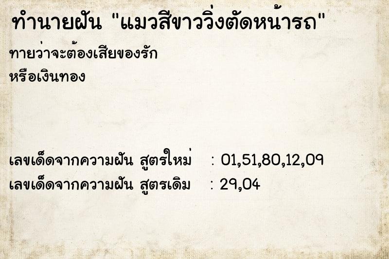 ทำนายฝัน แมวสีขาววิ่งตัดหน้ารถ ทำนายฝัน แมวสีขาววิ่งตัดหน้ารถ