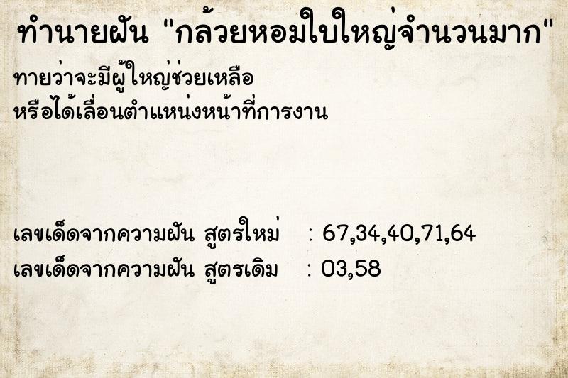 ทำนายฝัน กล้วยหอมใบใหญ่จำนวนมาก ทำนายฝัน กล้วยหอมใบใหญ่จำนวนมาก