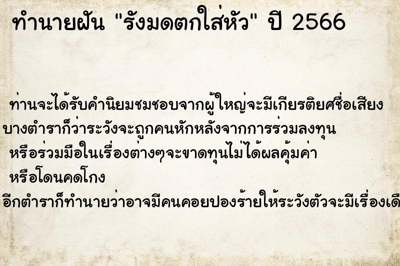 ทำนายฝัน รังมดตกใส่หัว