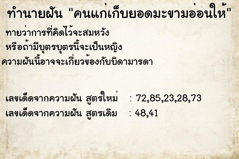 ทำนายฝันคนแก่เก็บยอดมะขามอ่อนให้ ทำนายฝันทำนายฝันคนแก่เก็บยอดมะขามอ่อนให้