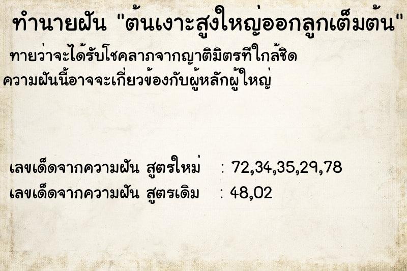 ทำนายฝัน ต้นเงาะสูงใหญ่ออกลูกเต็มต้น ทำนายฝัน ต้นเงาะสูงใหญ่ออกลูกเต็มต้น