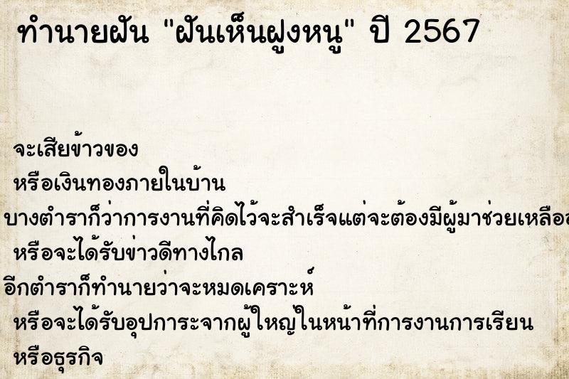 ทำนายฝันฝันเห็นฝูงหนู ทำนายฝันทำนายฝันฝันเห็นฝูงหนู