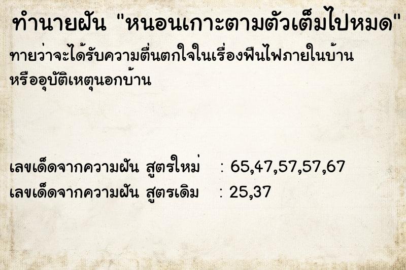 ทำนายฝันหนอนเกาะตามตัวเต็มไปหมด ทำนายฝันทำนายฝันหนอนเกาะตามตัวเต็มไปหมด