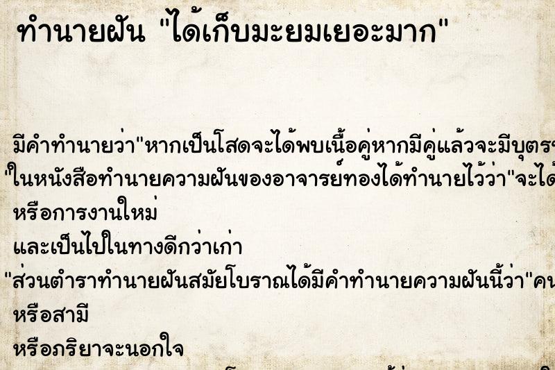 ทำนายฝัน ได้เก็บมะยมเยอะมาก ทำนายฝัน ได้เก็บมะยมเยอะมาก