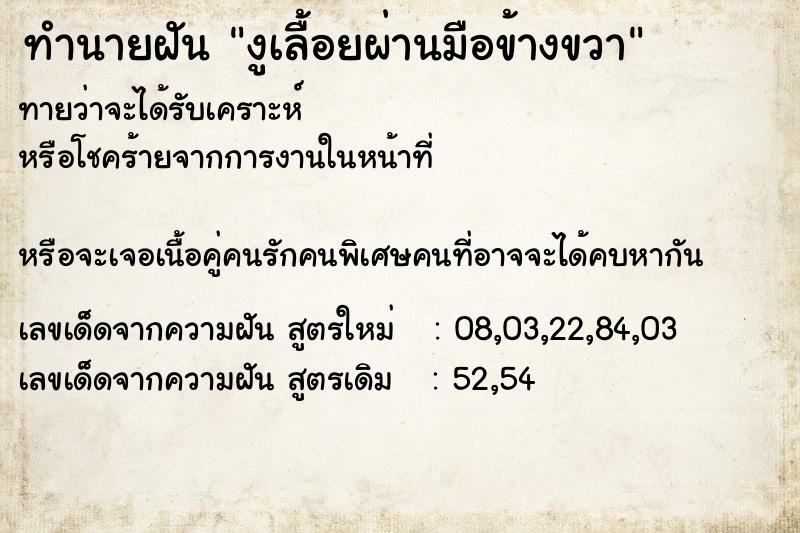 ทำนายฝัน งูเลื้อยผ่านมือข้างขวา ทำนายฝัน งูเลื้อยผ่านมือข้างขวา