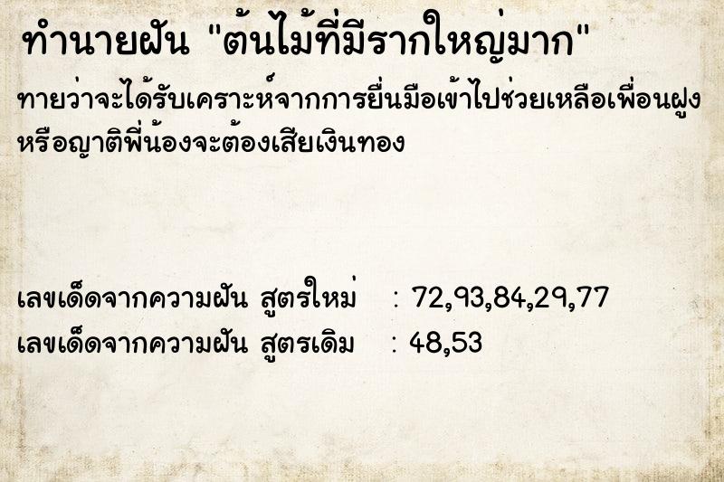 ทำนายฝันต้นไม้ที่มีรากใหญ่มาก ทำนายฝันทำนายฝันต้นไม้ที่มีรากใหญ่มาก