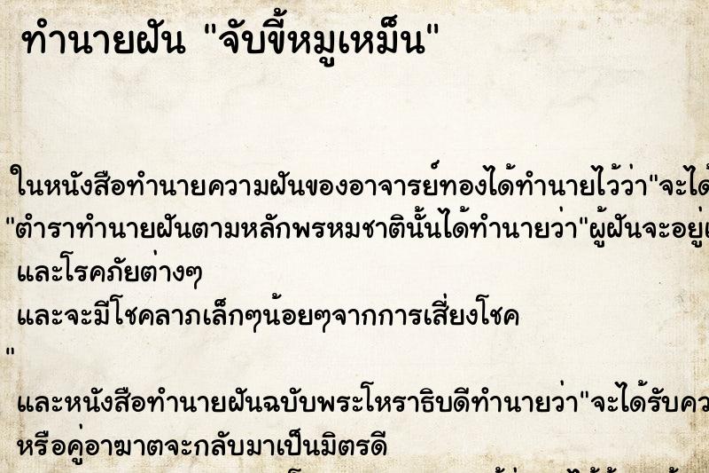 ทำนายฝัน จับขี้หมูเหม็น ทำนายฝัน จับขี้หมูเหม็น