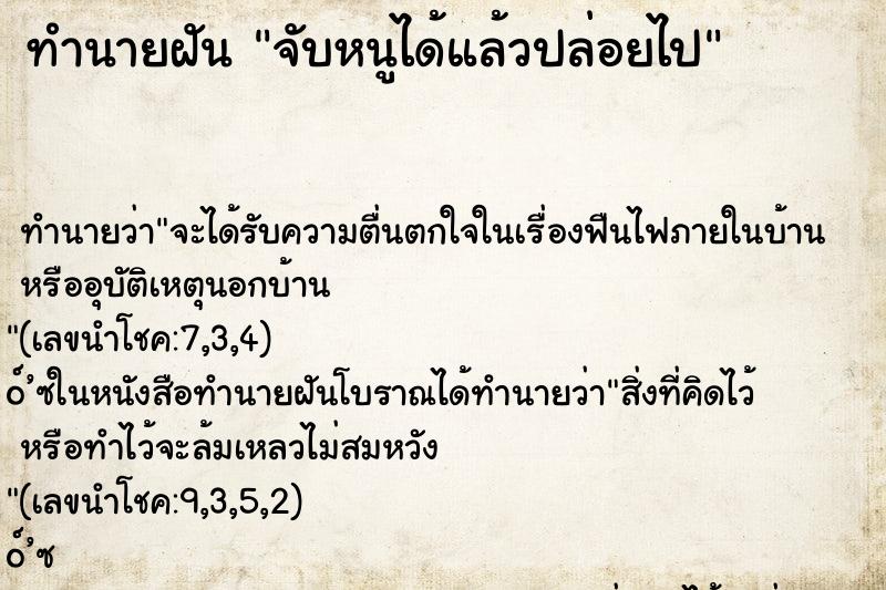 ทำนายฝันทำนายฝันจับหนูได้แล้วปล่อยไป