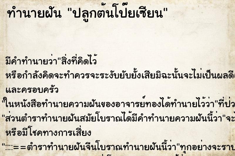 ทำนายฝัน ปลูกต้นโป๊ยเซียน