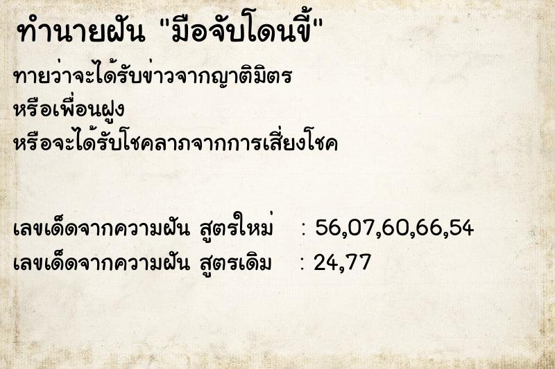 ทำนายฝันมือจับโดนขี้ ทำนายฝันทำนายฝันมือจับโดนขี้