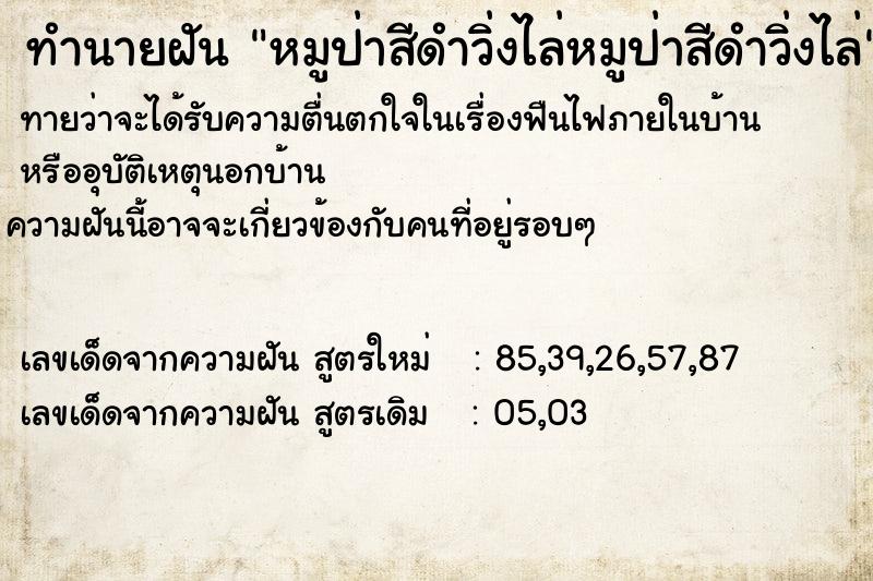 ทำนายฝันหมูป่าสีดำวิ่งไล่หมูป่าสีดำวิ่งไล่ ทำนายฝันทำนายฝันหมูป่าสีดำวิ่งไล่หมูป่าสีดำวิ่งไล่