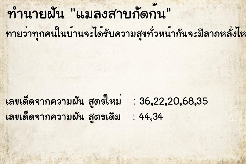 ทำนายฝันแมลงสาบกัดก้น ทำนายฝันทำนายฝันแมลงสาบกัดก้น