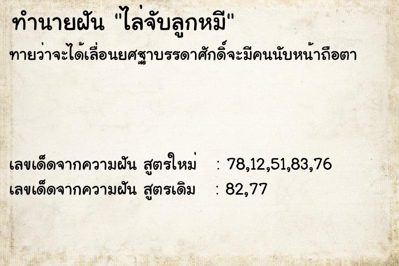 ทำนายฝันทำนายฝันไล่จับลูกหมี