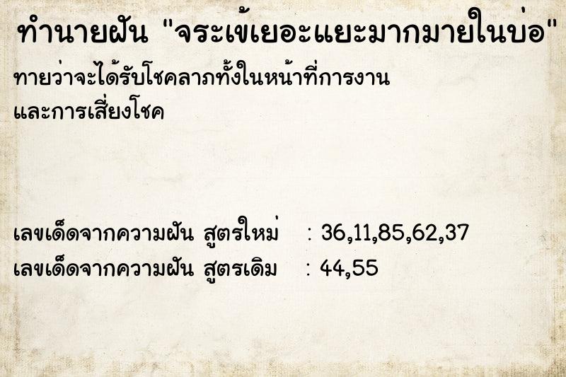 ทำนายฝันจระเข้เยอะแยะมากมายในบ่อ ทำนายฝันทำนายฝันจระเข้เยอะแยะมากมายในบ่อ