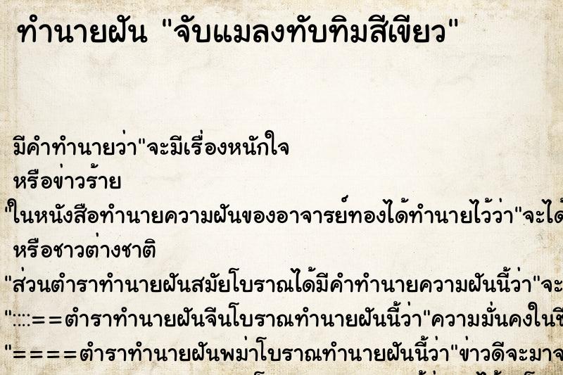 ทำนายฝันจับแมลงทับทิมสีเขียว ทำนายฝันทำนายฝันจับแมลงทับทิมสีเขียว