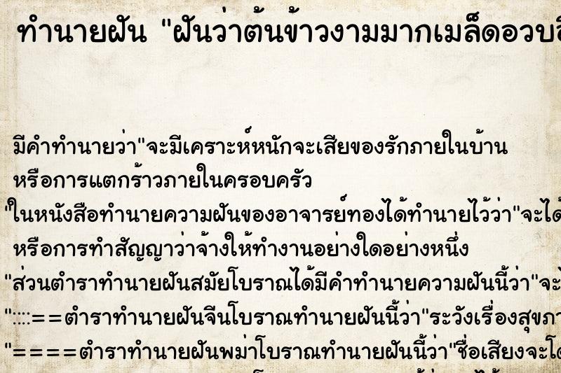 ทำนายฝัน ฝันว่าต้นข้าวงามมากเมล็ดอวบอื่ม ทำนายฝัน ฝันว่าต้นข้าวงามมากเมล็ดอวบอื่ม