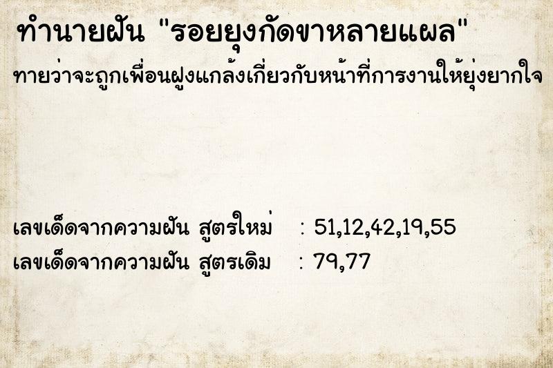 ทำนายฝันรอยยุงกัดขาหลายแผล ทำนายฝันทำนายฝันรอยยุงกัดขาหลายแผล