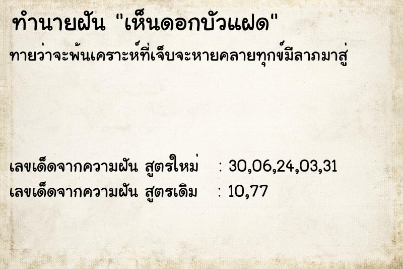 ทำนายฝัน เห็นดอกบัวแฝด ทำนายฝัน เห็นดอกบัวแฝด