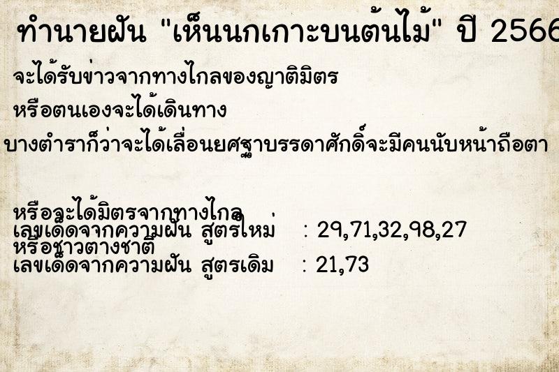 ทำนายฝัน เห็นนกเกาะบนต้นไม้ ทำนายฝัน เห็นนกเกาะบนต้นไม้