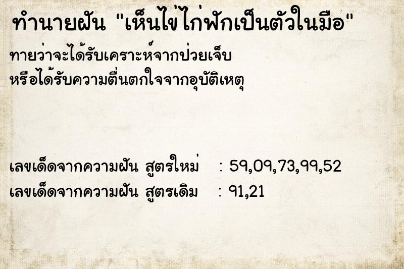 ทำนายฝัน เห็นไข่ไก่ฟักเป็นตัวในมือ ทำนายฝัน เห็นไข่ไก่ฟักเป็นตัวในมือ