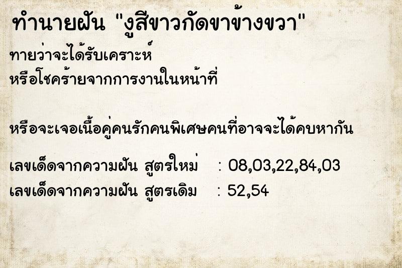 ทำนายฝัน งูสีขาวกัดขาข้างขวา ทำนายฝัน งูสีขาวกัดขาข้างขวา