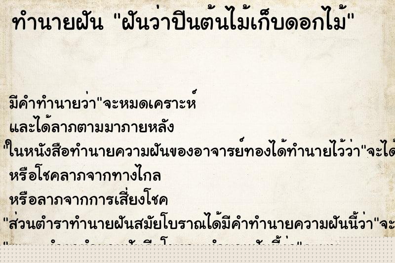 ทำนายฝันฝันว่าปีนต้นไม้เก็บดอกไม้ ทำนายฝันทำนายฝันฝันว่าปีนต้นไม้เก็บดอกไม้