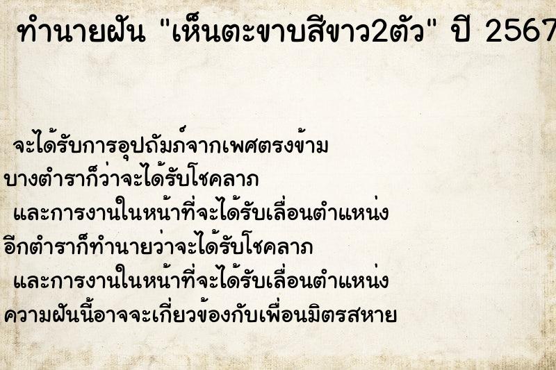 ทำนายฝัน เห็นตะขาบสีขาว2ตัว ทำนายฝัน เห็นตะขาบสีขาว2ตัว