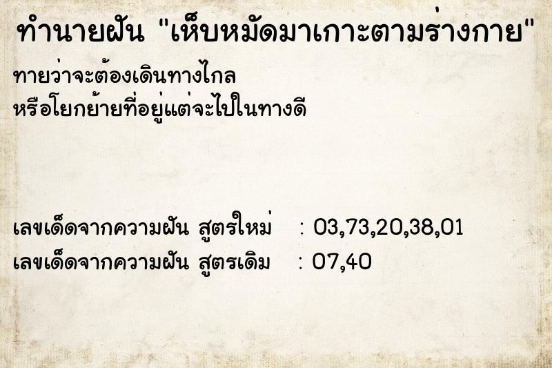 ทำนายฝันเห็บหมัดมาเกาะตามร่างกาย ทำนายฝันทำนายฝันเห็บหมัดมาเกาะตามร่างกาย