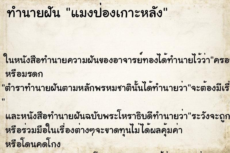ทำนายฝันแมงป่องเกาะหลัง ทำนายฝันทำนายฝันแมงป่องเกาะหลัง