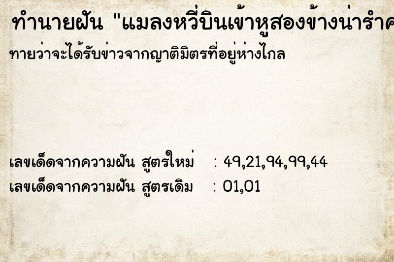 ทำนายฝัน แมลงหวี่บินเข้าหูสองข้างน่ารำคาญมากครับ ทำนายฝัน แมลงหวี่บินเข้าหูสองข้างน่ารำคาญมากครับ