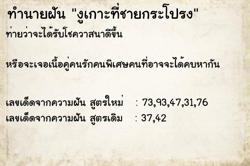 ทำนายฝันทำนายฝันงูเกาะที่ชายกระโปรง