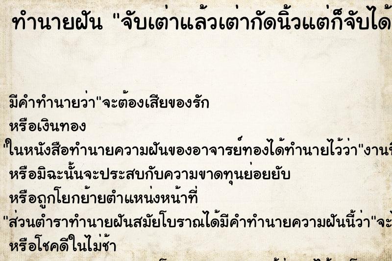 ทำนายฝัน จับเต่าแล้วเต่ากัดนิ้วแต่ก็จับได้ ทำนายฝัน จับเต่าแล้วเต่ากัดนิ้วแต่ก็จับได้