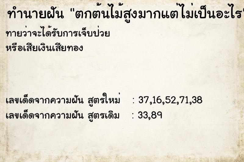 ทำนายฝันตกต้นไม้สูงมากแต่ไม่เป็นอะไร ทำนายฝันทำนายฝันตกต้นไม้สูงมากแต่ไม่เป็นอะไร
