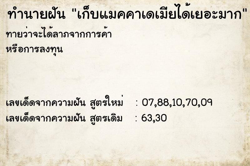 ทำนายฝันทำนายฝันเก็บแมคคาเดเมียได้เยอะมาก