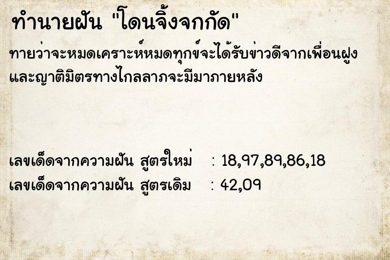 ทำนายฝันทำนายฝันโดนจิ้งจกกัด