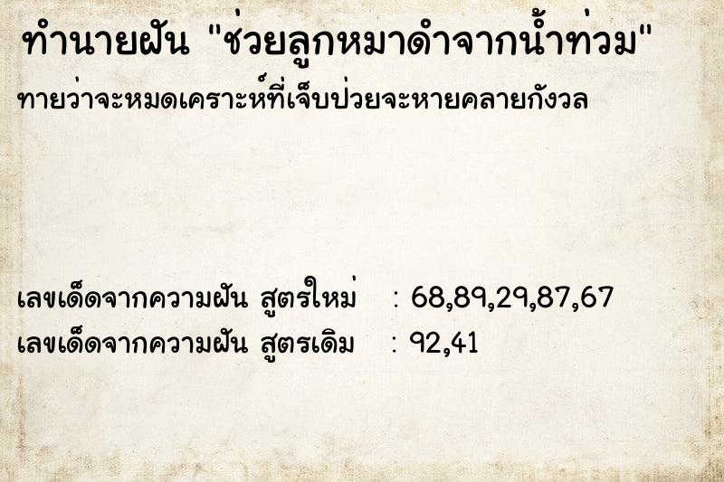 ทำนายฝันช่วยลูกหมาดำจากน้ำท่วม ทำนายฝันทำนายฝันช่วยลูกหมาดำจากน้ำท่วม